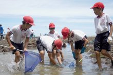 カニ、タコ見つけた！　海の生き物に興味津々　海岸で恒例「磯観察」　いすみ・浪花小