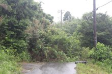 台風７、８号　千葉県内大雨、土砂崩れ相次ぐ　降水量、銚子など７地点で６月最大
