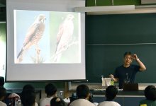 児童渡り鳥「サシバ」学ぶ　絶滅危惧種、神崎へ飛来