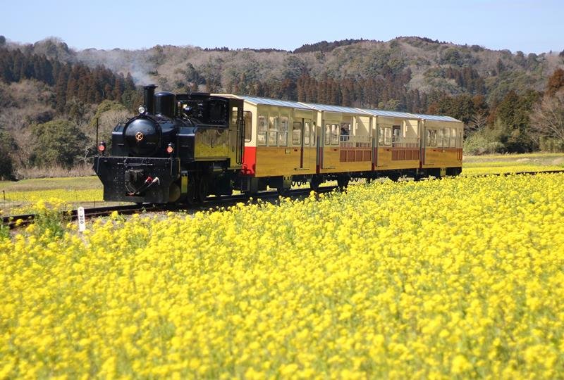 “和”重んじ里おこし　地域が主役、房総を熱く　小湊鉄道　石川晋平社長（４６）　【ちば新たな時代へ】（８）