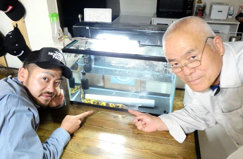 幸せ呼ぶバナナウナギ釣れた！　１０万匹に１匹、茂原・一宮川で捕獲　睦沢の男性「金運上がればうれしい」