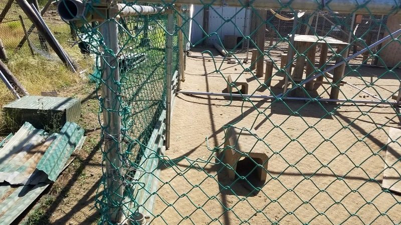サルの檻壊した千葉市の高校生逮捕　器物損壊容疑で富津署　７０匹逃走の高宕山動物園