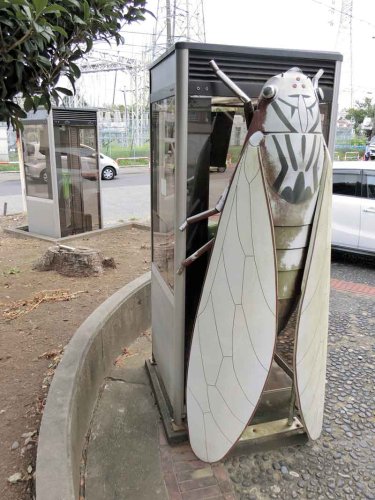 巨大なヒメハルゼミのオブジェがしがみついた公衆電話ボックス＝茂原市八千代
