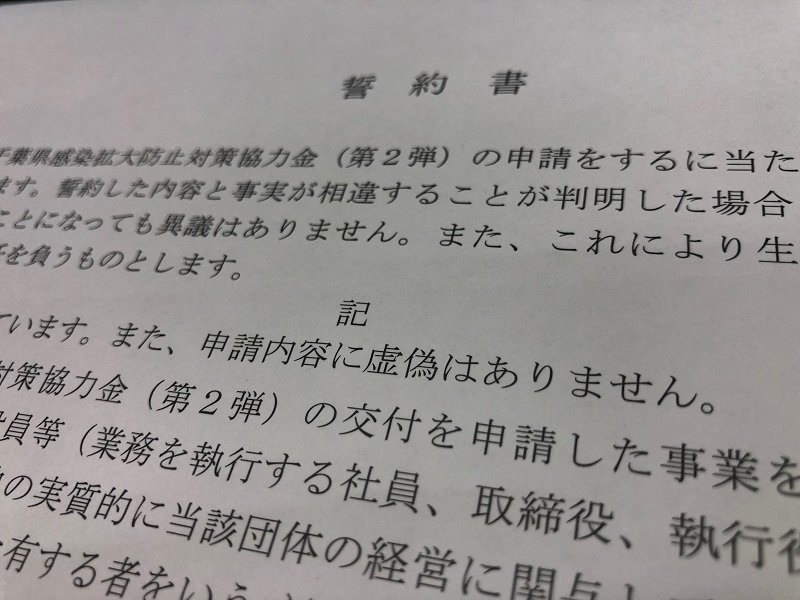 申請書類の誓約書には「申請内容に虚偽はありません」などと記されている