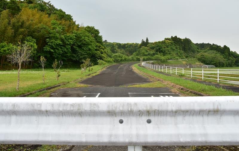 工業団地予定地だった市有地。大部分が山林のままで進入路は柵でふさがれている＝いすみ市須賀谷
