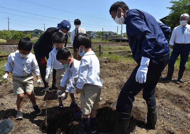 小湊鉄道海士有木駅での栗の苗木の植樹には、地元幼稚園児も参加した＝市原市
