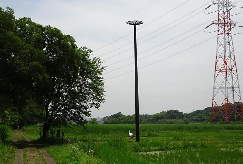 野田市江川地区にある既設の人工巣塔。写真のコウノトリは模型