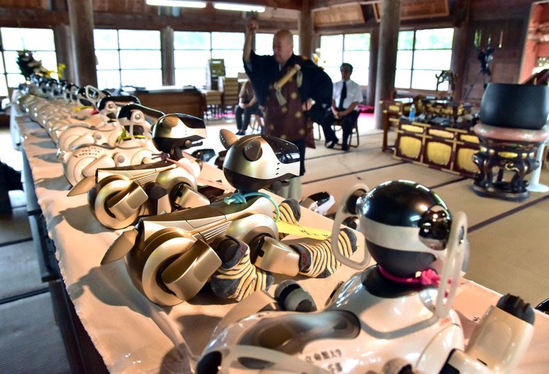 供養のため並べられたアイボ＝１９日、いすみ市の光福寺
