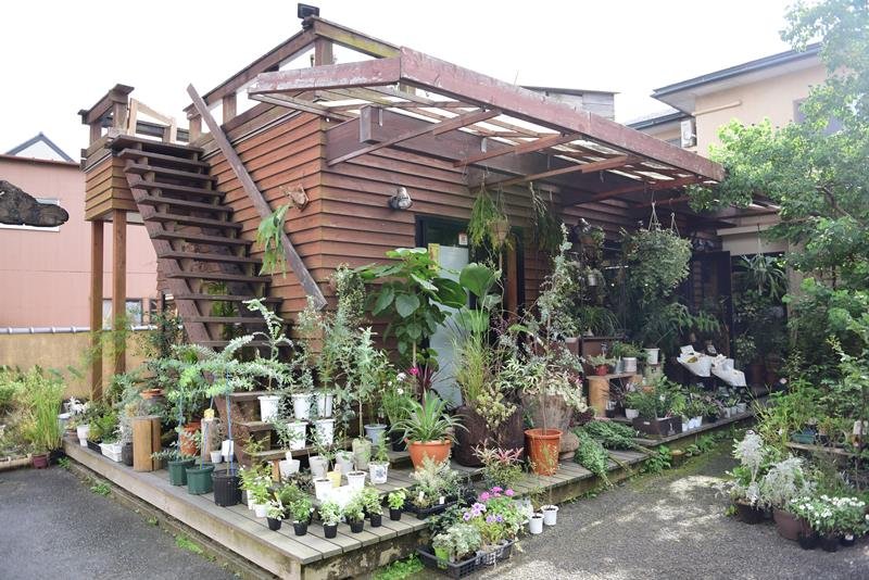 コロナ禍、花で彩りを　コラボ商品、観葉植物も　香取生花店（香取市）　【ちばの元気企業】