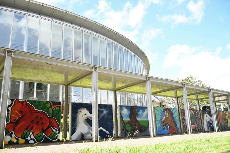 富里を象徴するスイカや馬の絵があしらわれた市立図書館の通路壁＝富里市

