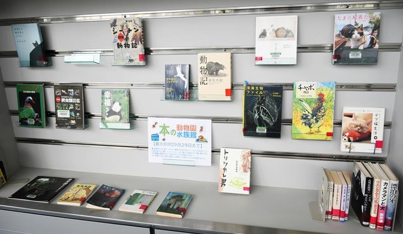 富里市図書館　気軽にどうぞ　利用者増へ施設複合化　壁にアート、文化財展示