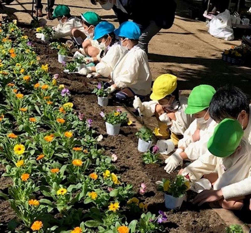 千葉興銀が寄贈したパンジーやキンセンカを植える園児＝１０月、松戸市の聖徳大学付属幼稚園（同行提供）
