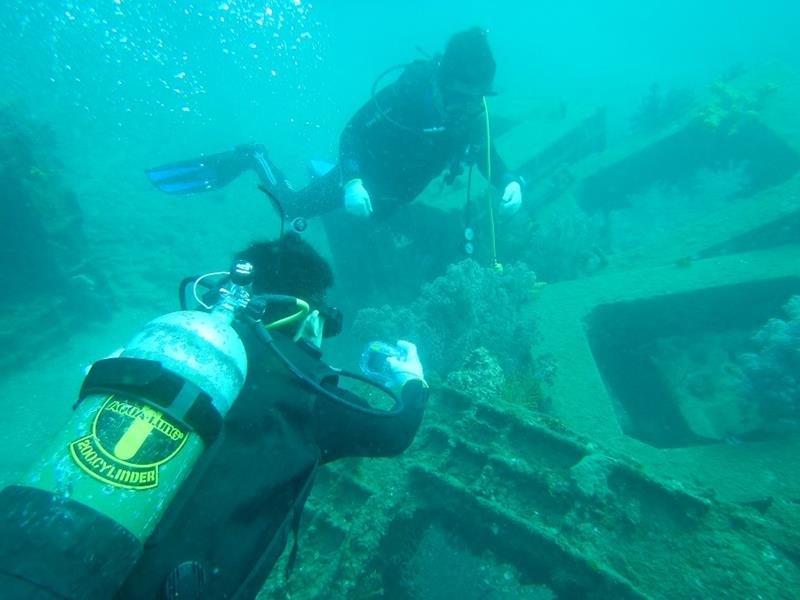 人工魚礁に集まる生物を調べる生徒ら（館山総合高提供）
