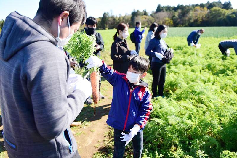 ニンジンの収穫体験を行う親子ら＝香取市