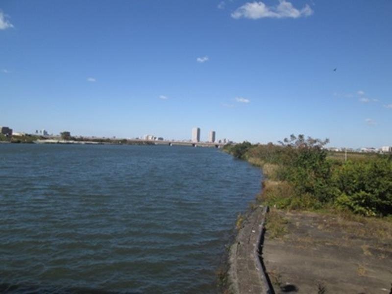 未確定地域付近（旧江戸川）
