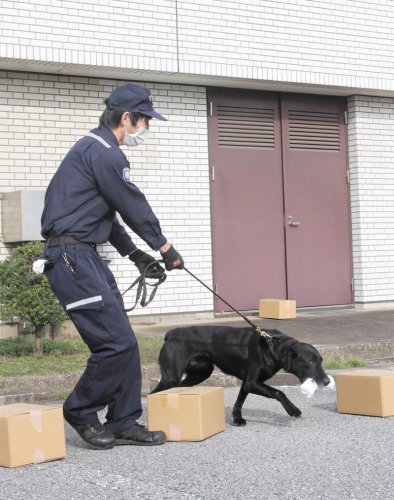 出動式に参加した麻薬探知犬＝千葉市中央区
