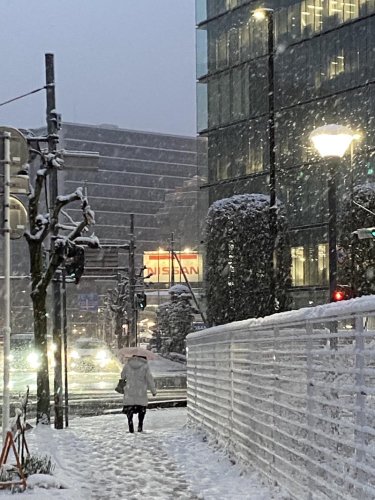 千葉県内に雪、千葉市で７センチ　４年ぶり大雪警報、各地交通網に乱れ　路面凍結への警戒を