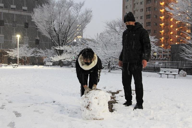 公園で雪だるまを作る親子＝６日午後５時ごろ、千葉市中央区