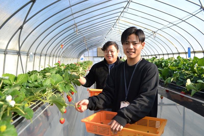千葉市が実施する「新規就農アドバンス研修」に取り組む佐々木海颯さん（手前）と達子侑希さん＝若葉区の市農政センター
