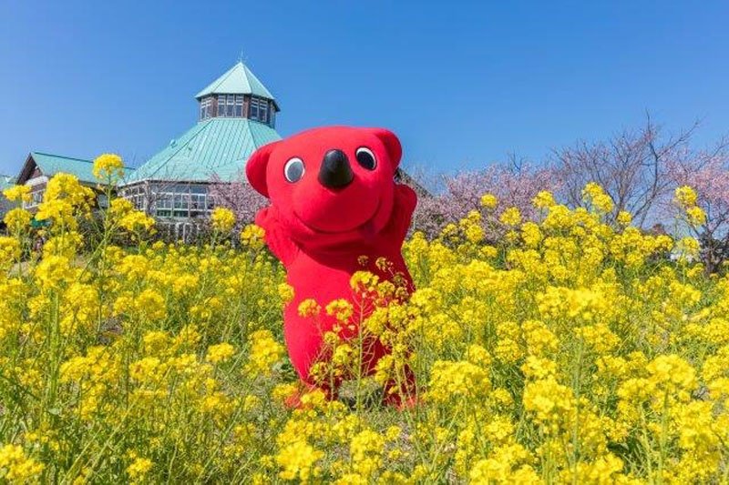 「千葉とく旅キャンペーン」を関東ブロック５県民にも拡大