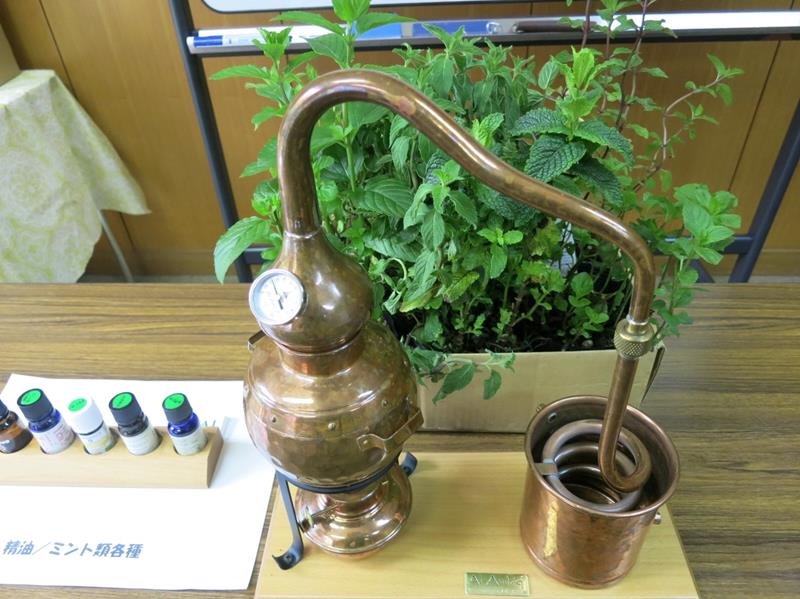 ハーブの蒸留器
