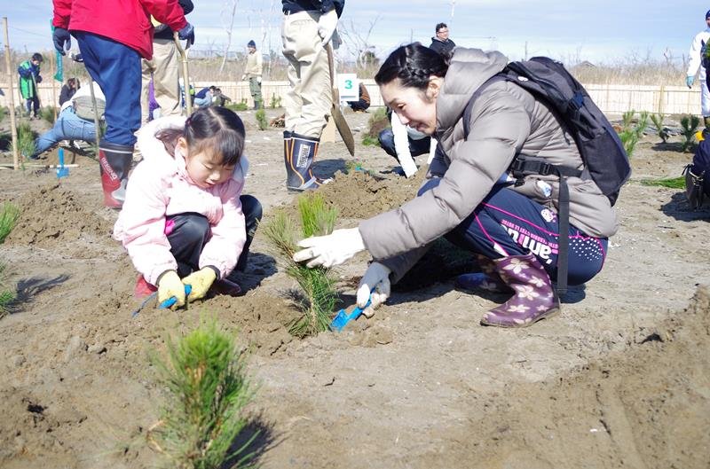 白砂青松　再生に暗雲　植樹活動阻むコロナ風化も懸念　山武、津波で海岸林被害　【語り継ぐ　ちば　東日本大震災１１年】（４）