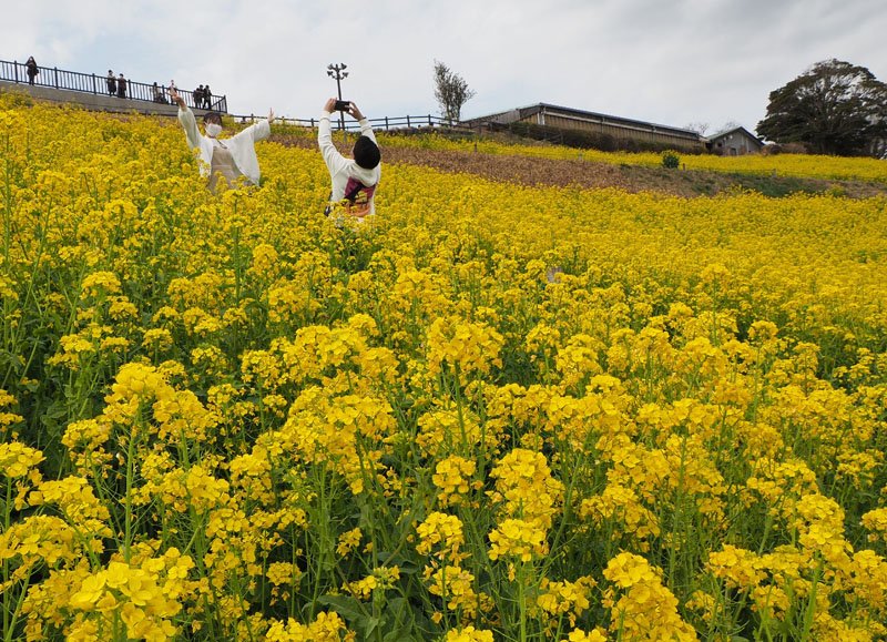 行楽期、客足回復に期待　まん延防止解除決定　観光・宿泊業は「歓迎」　マザー牧場や鴨シーも　