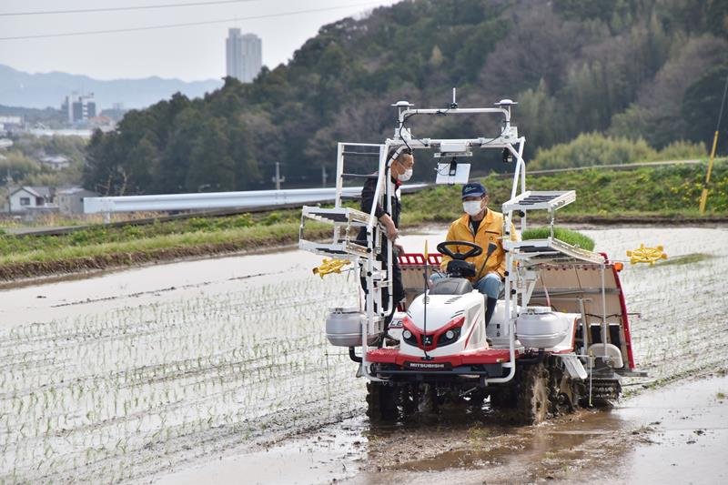 ＧＰＳ機能付きの田植え機を使って行われた田植え＝３１日、鴨川市

