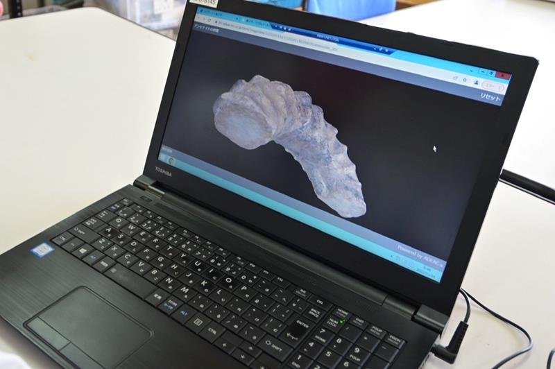 銚子市デジタルアーカイブ開始　文化財をネット鑑賞　アンモナイトなど１万点