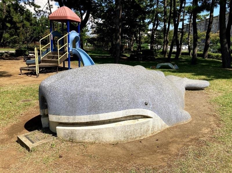 袖ケ浦西近隣公園のクジラ
