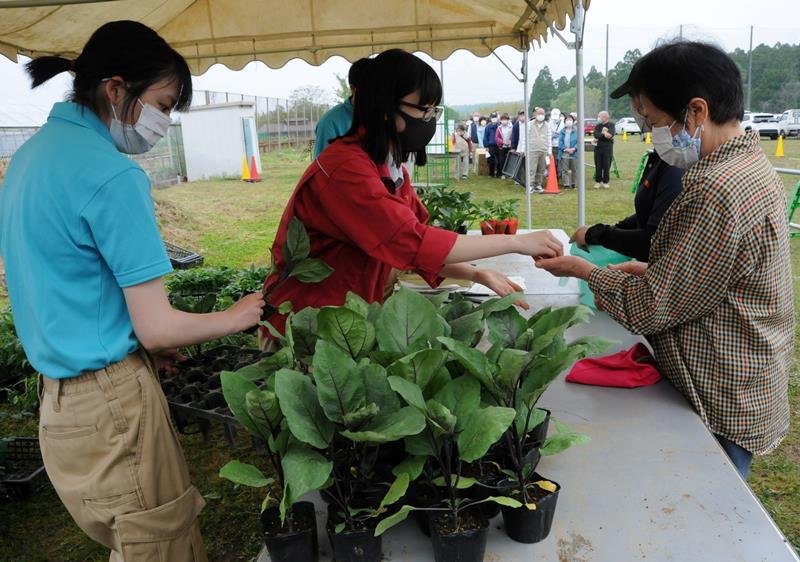 市民（右）に野菜の苗を販売する市原高校の生徒＝市原市の同校鶴舞グリーンキャンパス農場
