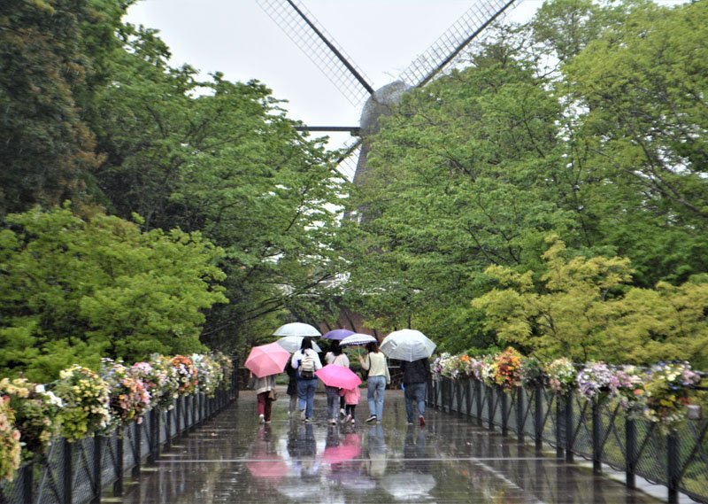 傘を手に家族や友人同士で散策する来園客＝２９日昼、船橋市金堀町のふなばしアンデルセン公園