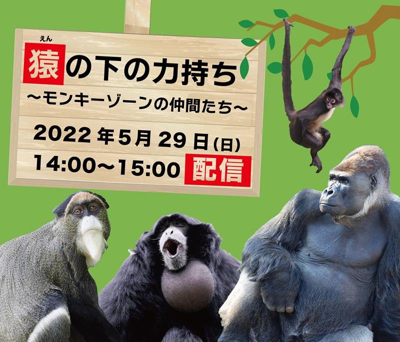 千葉市動物公園が行う第２回目の有料動画配信のイメージ（同園提供）

