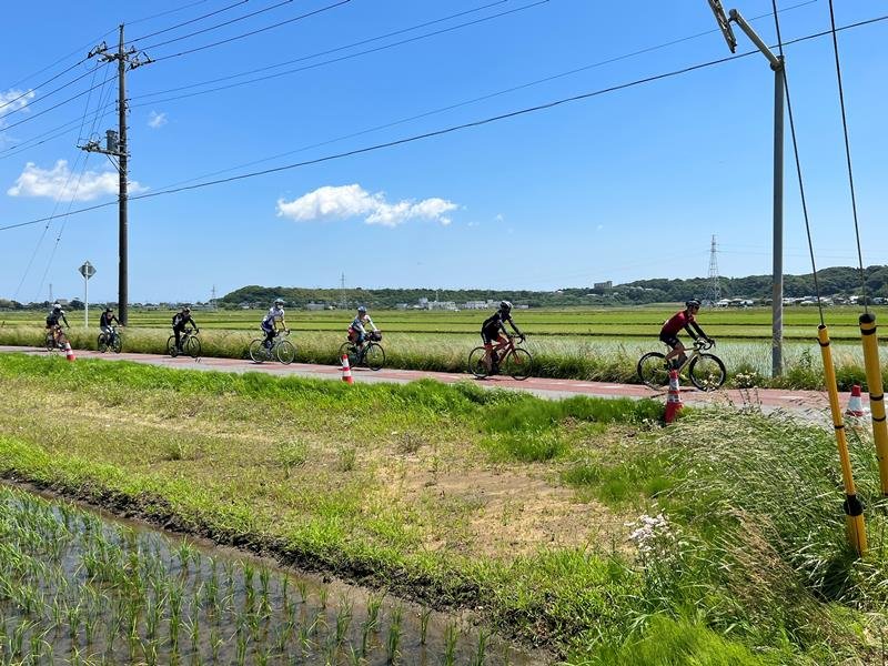 東庄町の田園風景の中を自転車で走る参加者＝２８日、同町
