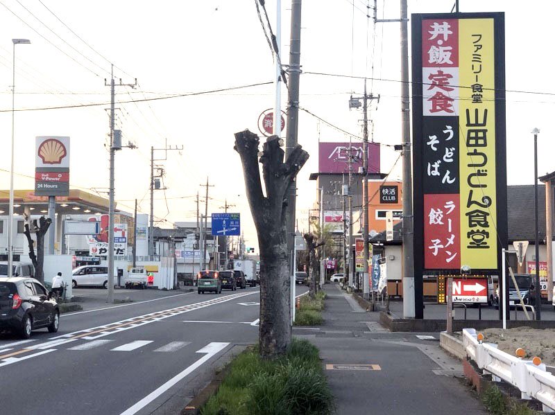 「千葉県のライバル１位」に選ばれた県のロードサイド。雰囲気はどことなく千葉県に近い？