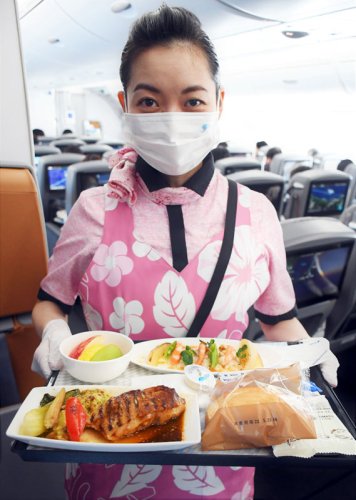 【写真特集】就航３年フライングホヌ　「ウミガメ」周遊フライト人気！　成田空港シンボルに　＜記者搭乗ルポ＞