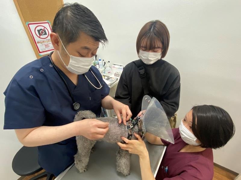 犬にマイクロチップを装着する小倉さん（イオンペット提供）