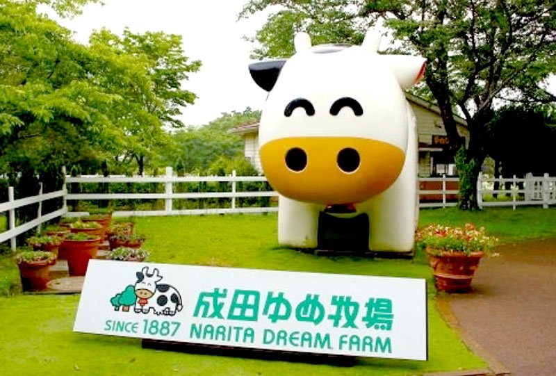「雨の日割引」を始めた成田ゆめ牧場（同牧場提供）
