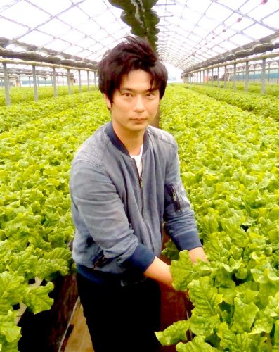 有限会社　かまや（旭市）　サンチュを名脇役に　【輝く千葉の企業　日本政策金融公庫レポート】（８９）