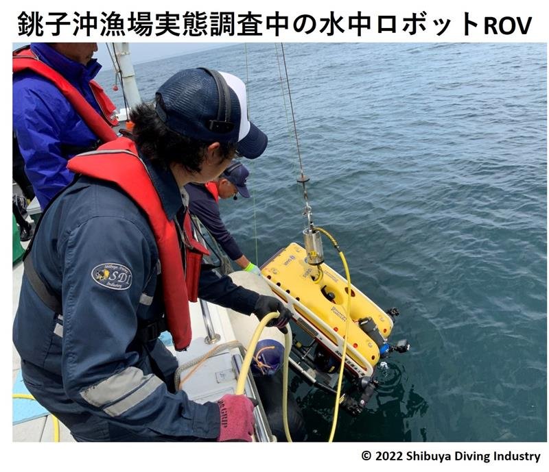 漁場実態調査の様子（画像は渋谷潜水工業提供）
