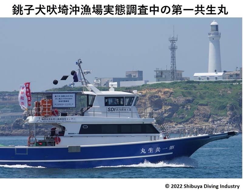 共存共生へ環境調査　漁協　予定地周辺、２４年まで　銚子洋上風力