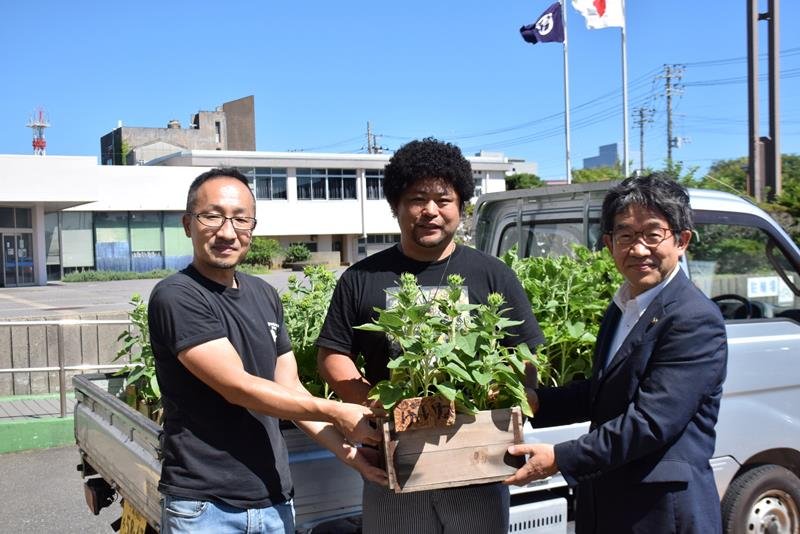越川市長（右）にミニヒマワリを渡す鈴木さん（左）と坂尾さん＝銚子市役所
