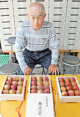 献上イチジク心込めて　市原・姉崎　相川さん　食べ頃選果