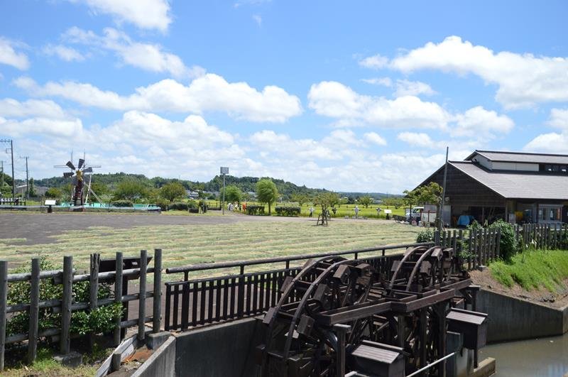 ツール・ド・ちばのエイドステーションとなる農村公園ひらおかの里＝袖ケ浦市