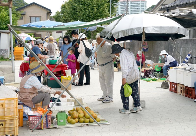 重要な観光資源でもある伝統の朝市。地域経済の活性化を考える上で交流人口を増やすことも課題の一つ＝勝浦市