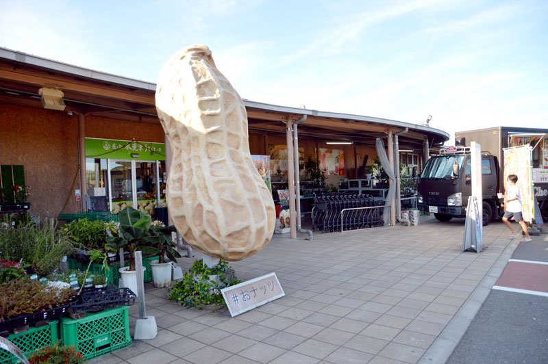 緑あふれ非日常感満載　クルックフィールズ　うまくたの里（木更津市）　名産品並ぶ「道の駅」　【ツール・ド・ちば２０２２　コース周辺おすすめスポット】（３）