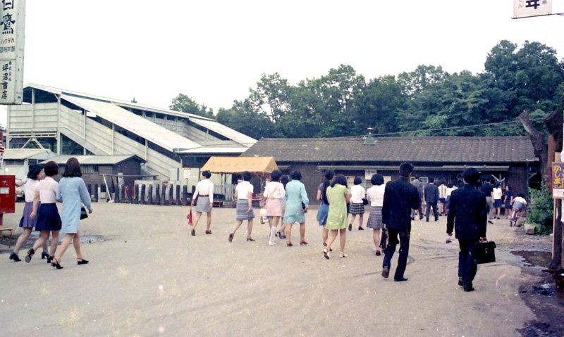 市になった半世紀前の日　よく分かる町の移り変わり　鎌ケ谷市デジタル写真館　【おうちでミュージアム　京葉東葛デジタル鑑賞】（３）