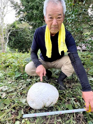 正体不明の白い球体を指差す発見者の平田さん＝１４日、市原市