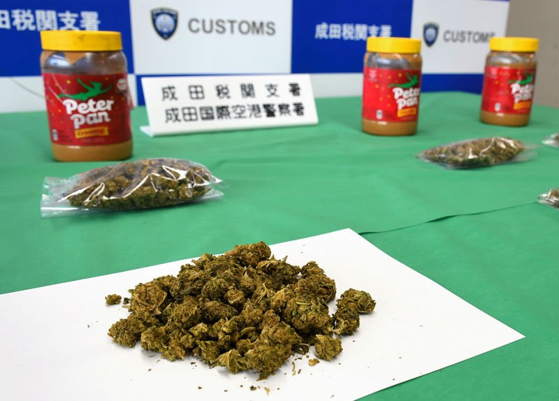 ”ワン”ダフル！新米麻薬探知犬レミ号、異例の早さで初手柄　貨物から乾燥大麻発見　成田空港