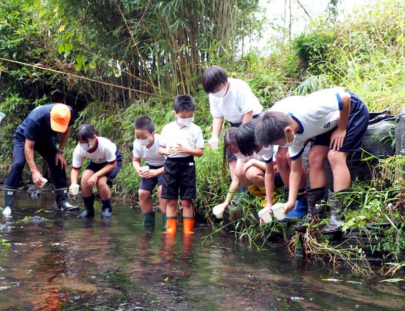 ホタルの幼虫を放流する幽谷分校の児童＝袖ケ浦市